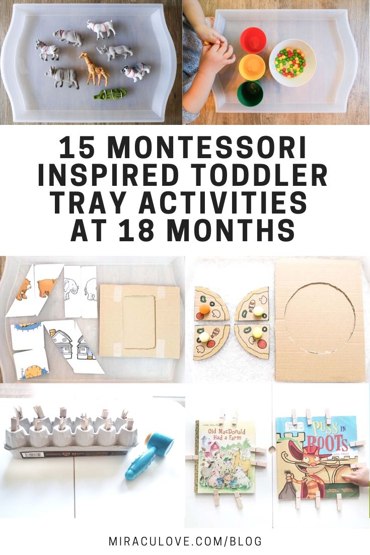 Montessori Inspired Toddler Tray Activities at 18 Months