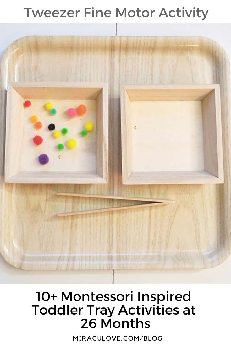 Fall Sensory Trays for Little Kids  Montessori toddler activities, Montessori  trays, Montessori