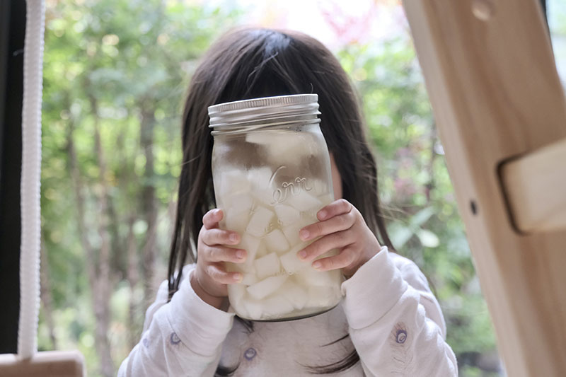 Making Homemade Radish Pickles with My Preschooler