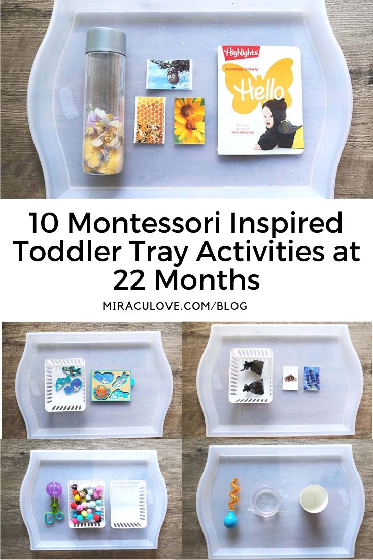 Montessori Activity Trays at 21 Months