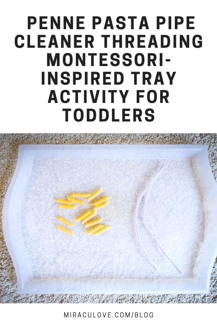 Montessori Inspired Toddler Tray Activities at 18 Months