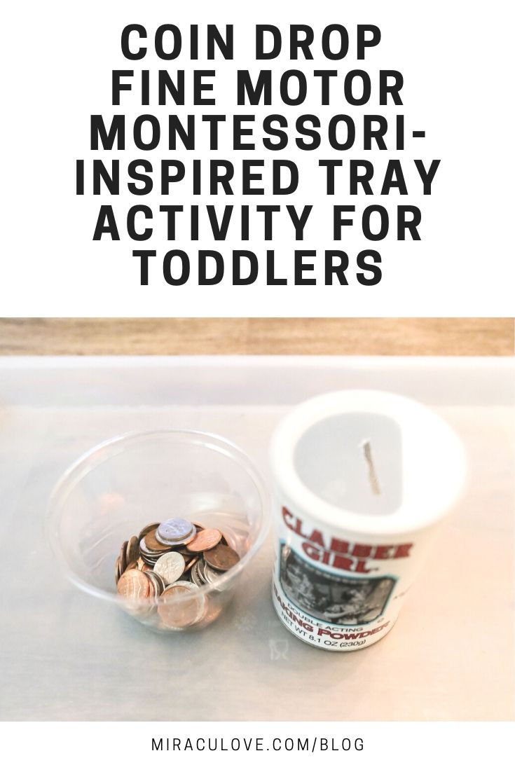 Montessori Inspired Toddler Tray Activities at 18 Months