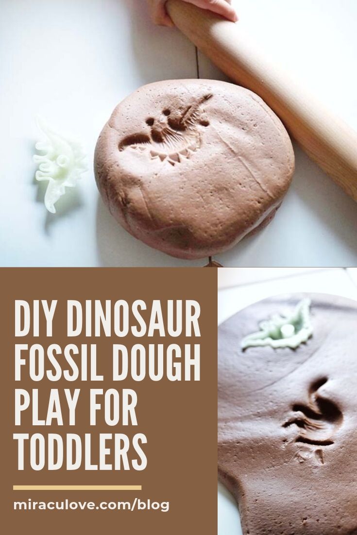 DIY Dinosaur Fossil Dough Play for Toddlers