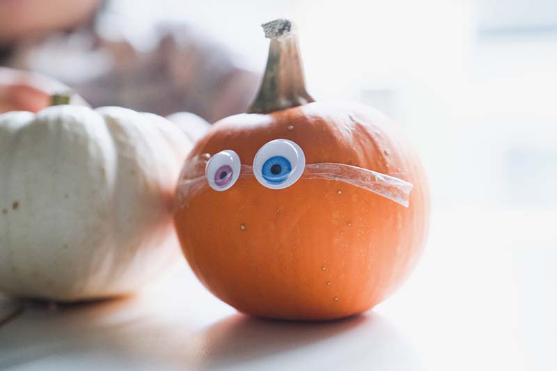 Googly Eyed Pumpkin Monster Halloween Activity