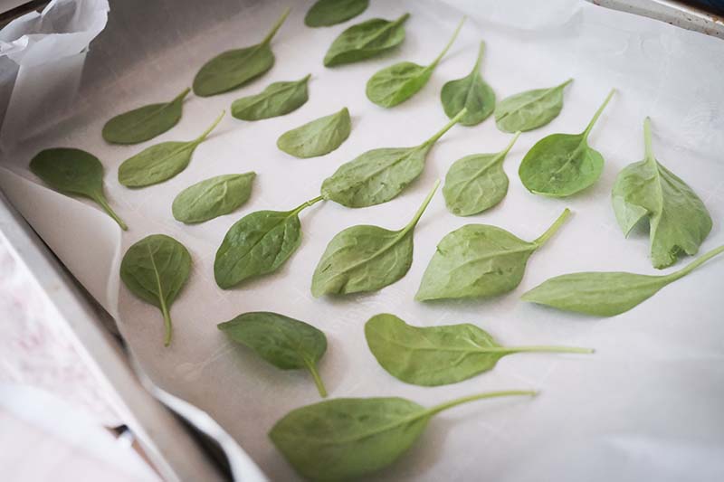 Making Spinach Chips with Young Toddler