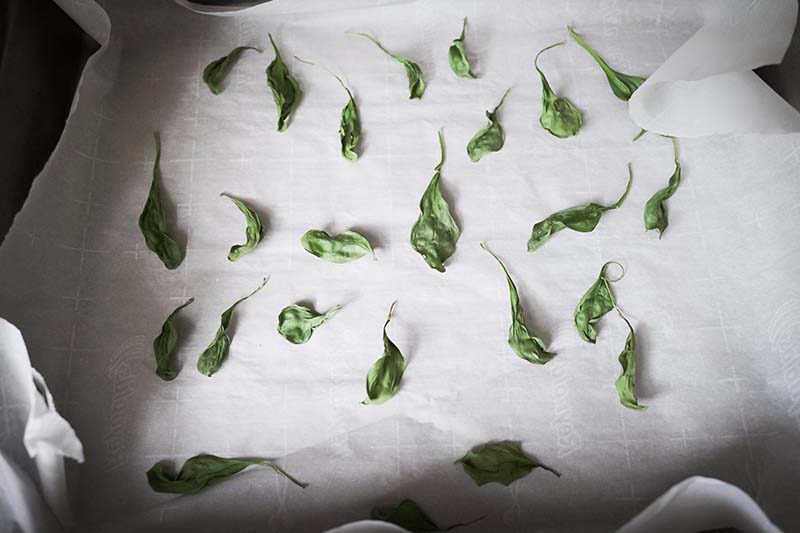 Making Spinach Chips with Young Toddler