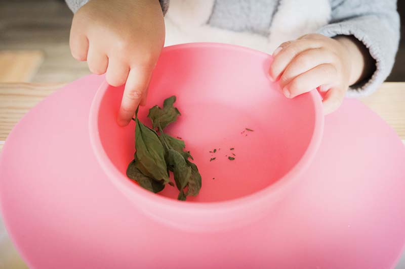 Making Spinach Chips with Young Toddler