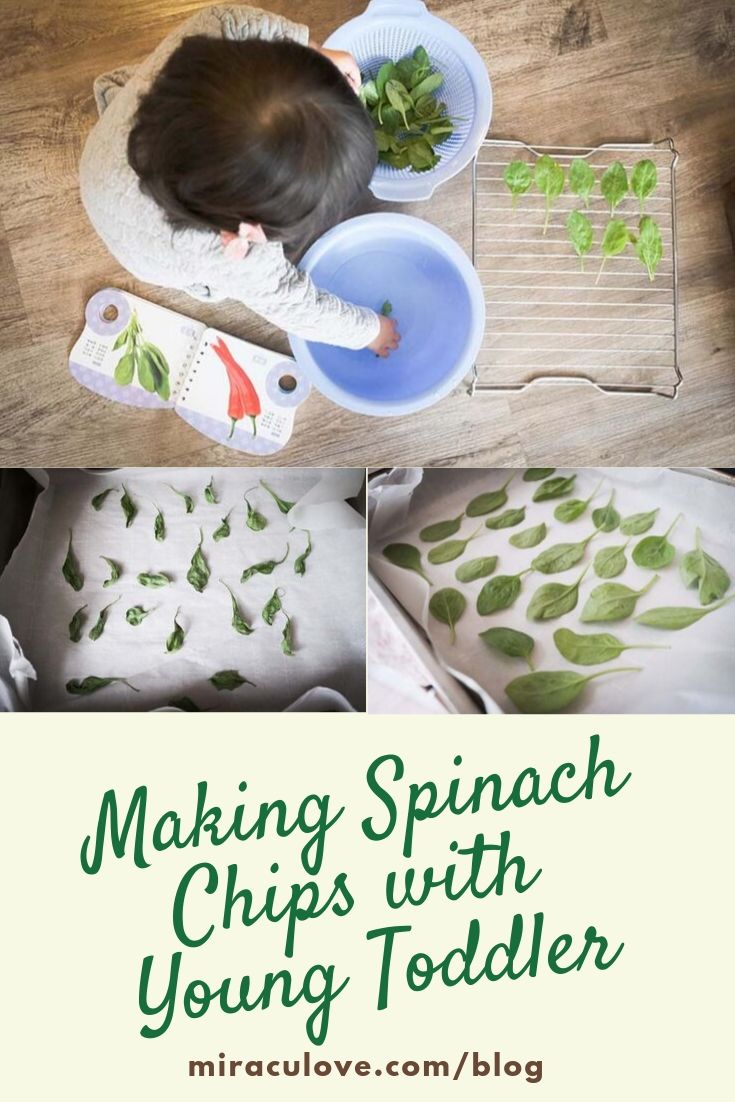 Making Spinach Chips with Young Toddler